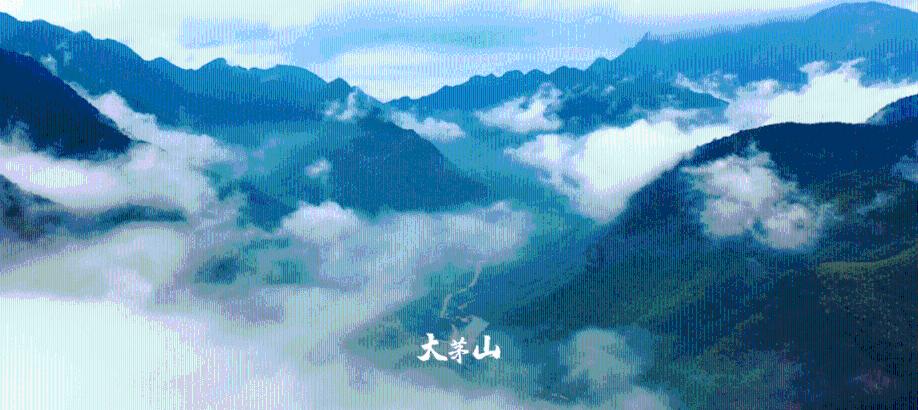 抓住妻子出轨后，应该怎么办？